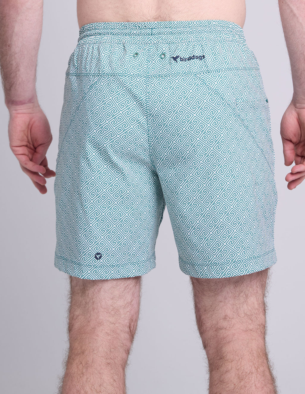 Swim Shorts - Delphi Green