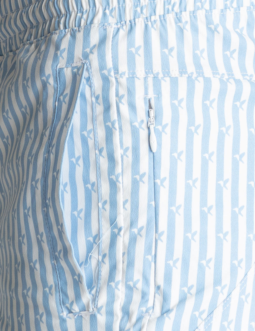 Swim Shorts - Blue &amp; White Stripes